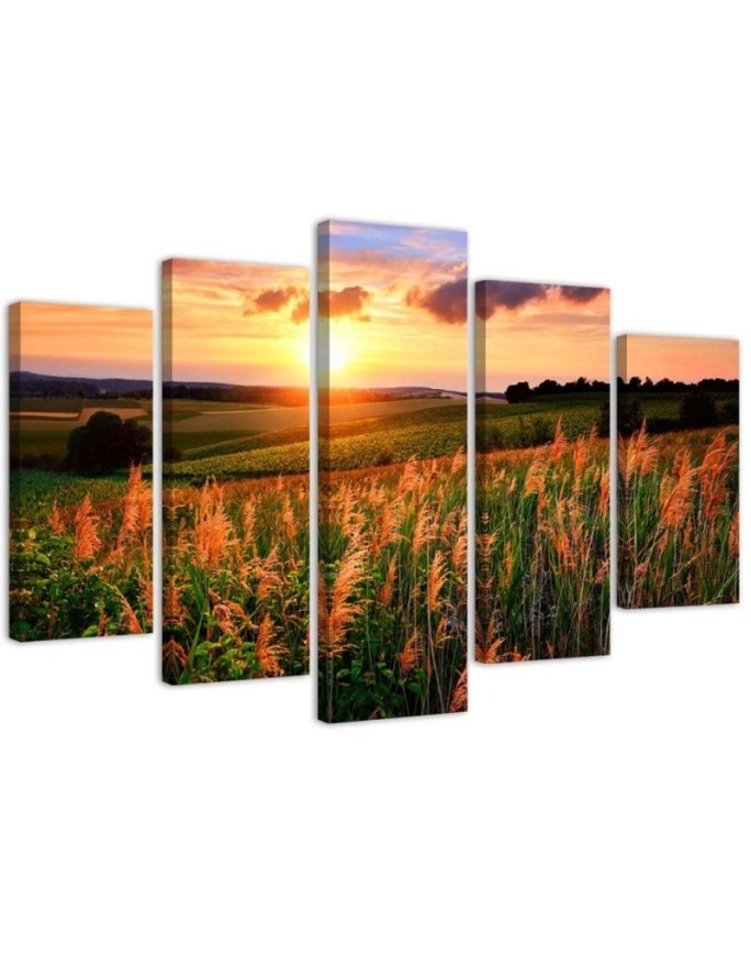 Bild auf Leinwand - Sonnenuntergang Blumen Wiese | Feeby