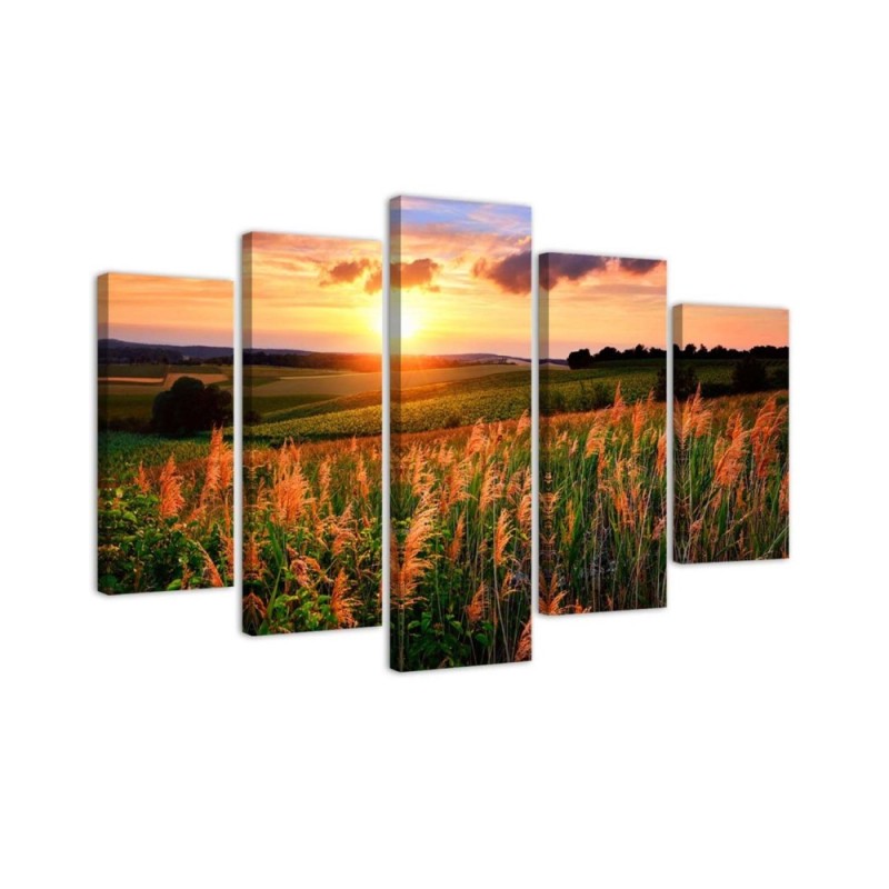 Bild auf Leinwand - Sonnenuntergang Blumen Wiese | Feeby