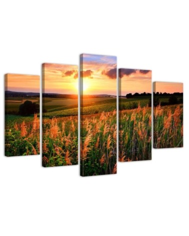 Sunset over the meadow wall art painting for living room | FEEBY
