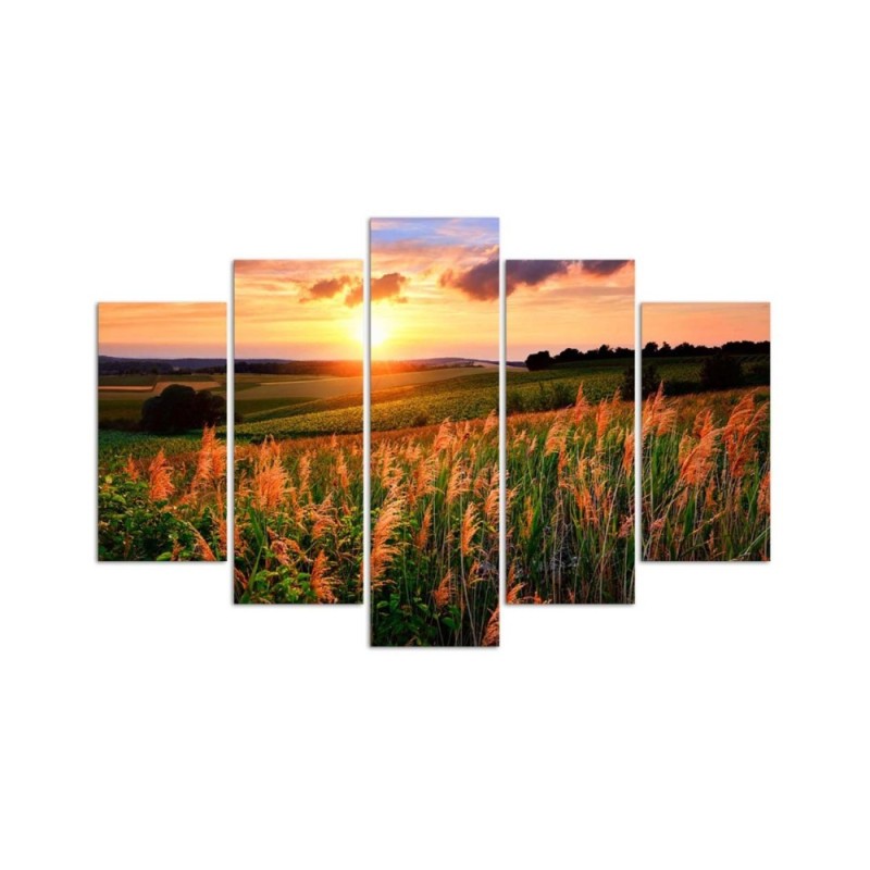 Bild auf Leinwand - Sonnenuntergang Blumen Wiese | Feeby