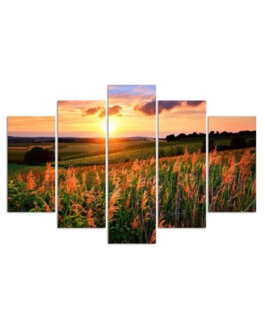 Bild auf Leinwand - Sonnenuntergang Blumen Wiese | Feeby