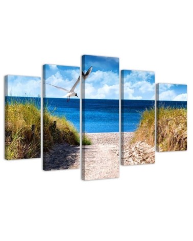 Bild auf Leinwand - Landschaft Meer Strand Gras | Feeby