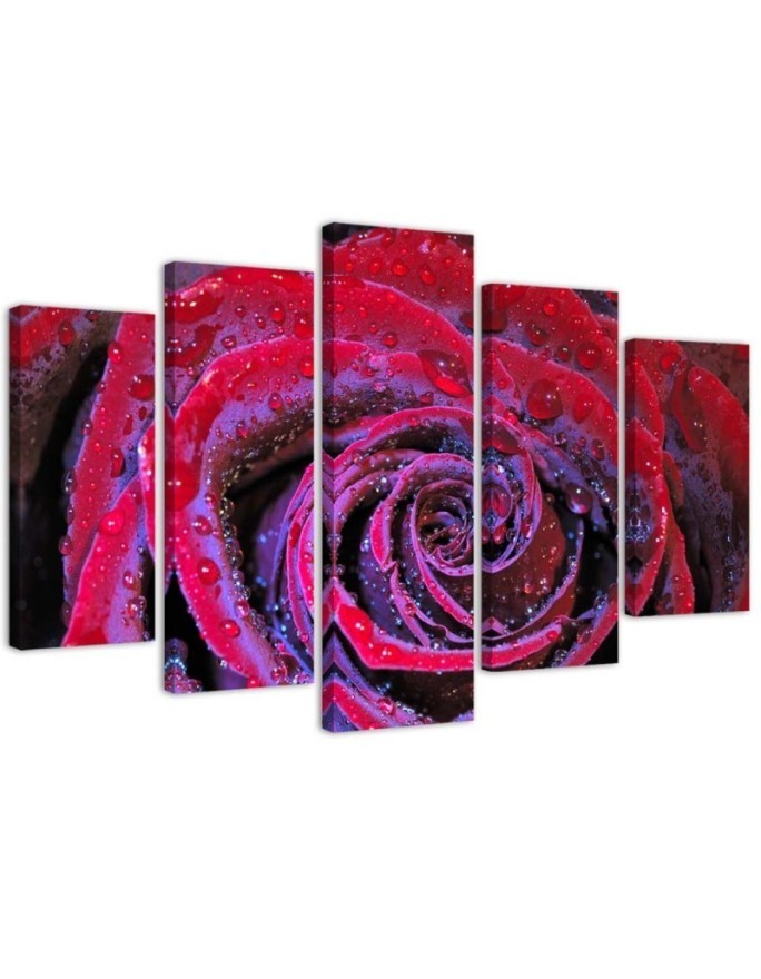 Bild auf Leinwand - Rosenblüte Rot | Feeby