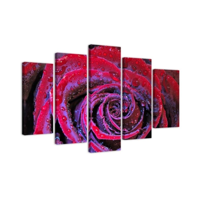 Bild auf Leinwand - Rosenblüte Rot | Feeby