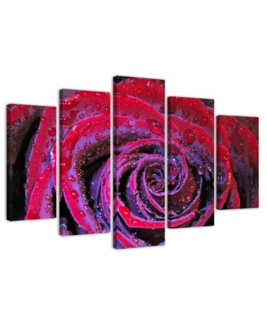 Printed painting for wall Red rose with dewdrops | FEEBY
