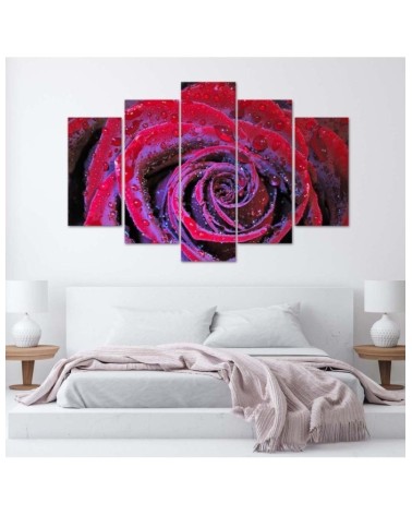 Bild auf Leinwand - Rosenblüte Rot | Feeby