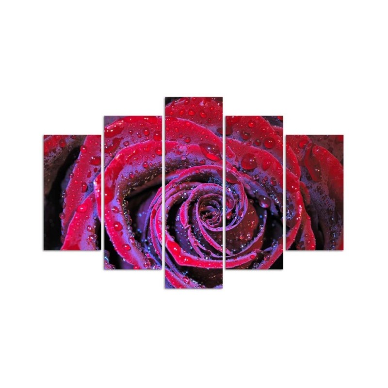 Bild auf Leinwand - Rosenblüte Rot | Feeby