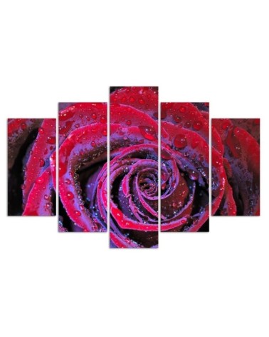 Bild auf Leinwand - Rosenblüte Rot | Feeby