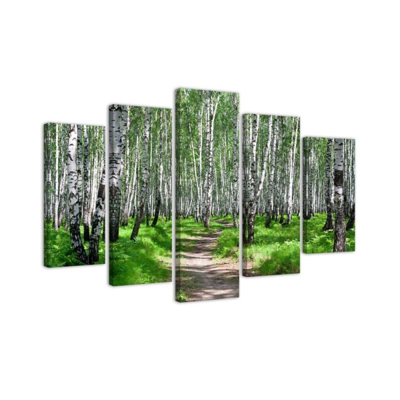 Leinwandbild - Birkenwald Natur | Feeby