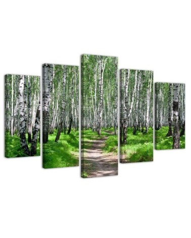 Leinwandbild - Birkenwald Natur | Feeby