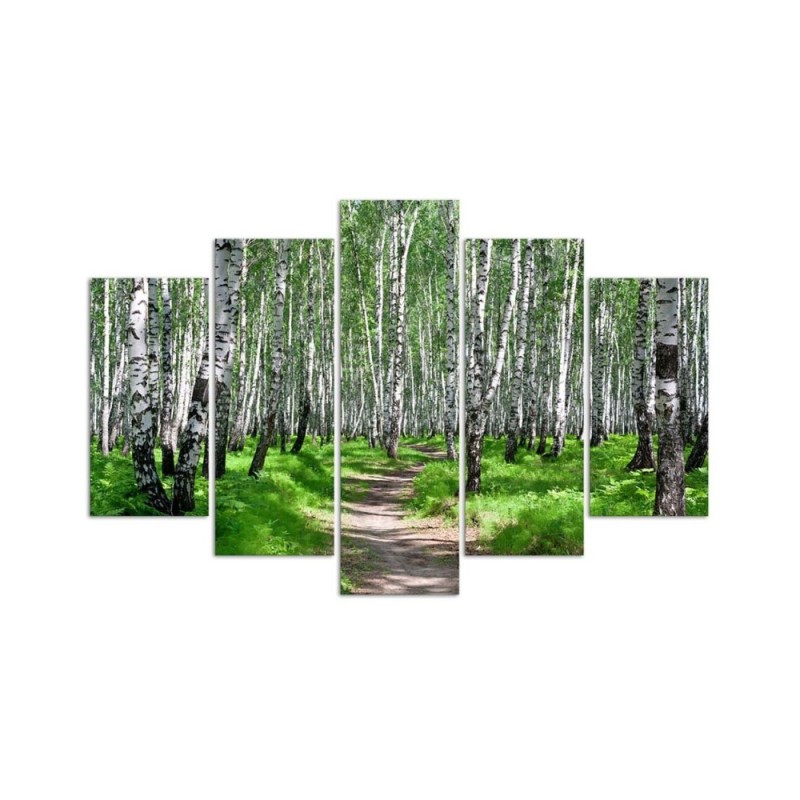 Leinwandbild - Birkenwald Natur | Feeby