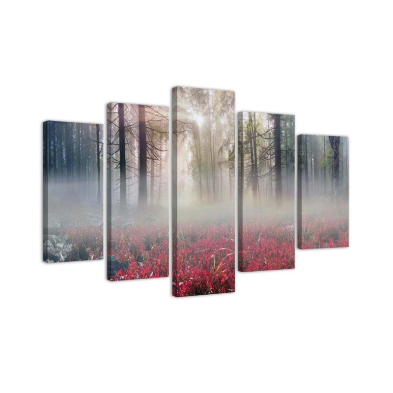 Bild auf Leinwand - Nebel Wald Lichtung Blumen | Feeby