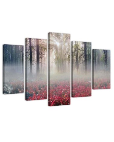 Bild auf Leinwand - Nebel Wald Lichtung Blumen | Feeby