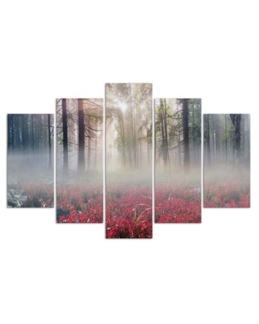 Bild auf Leinwand - Nebel Wald Lichtung Blumen | Feeby