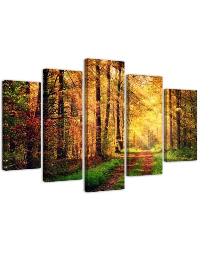 Leinwandbild modern - Wald Herbst | Feeby