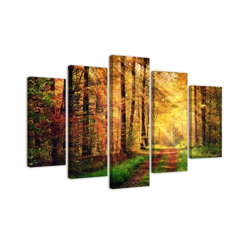 Leinwandbild modern - Wald Herbst | Feeby