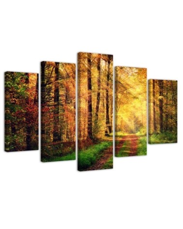 Leinwandbild modern - Wald Herbst | Feeby