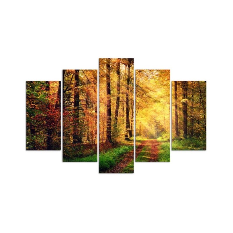 Leinwandbild modern - Wald Herbst | Feeby