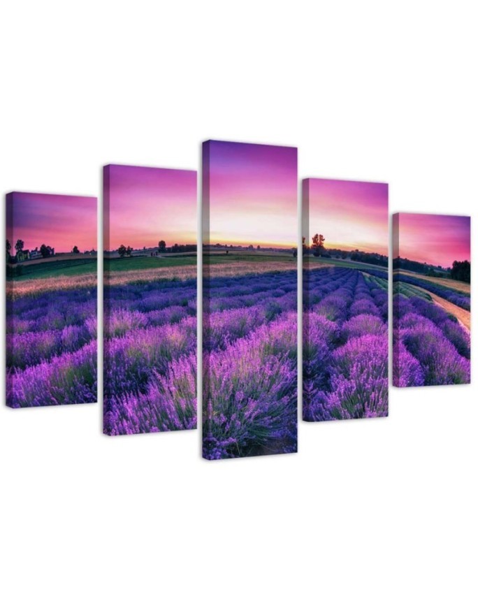 Wandbild für Wohnzimmer - Lavendel Lila Feld | Feeby