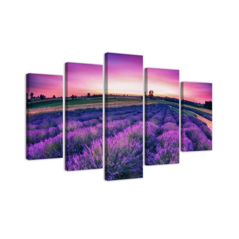 Wandbild für Wohnzimmer - Lavendel Lila Feld | Feeby