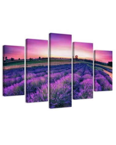 Lavender field canvas 5 piece wall painting for living room | FEEBY