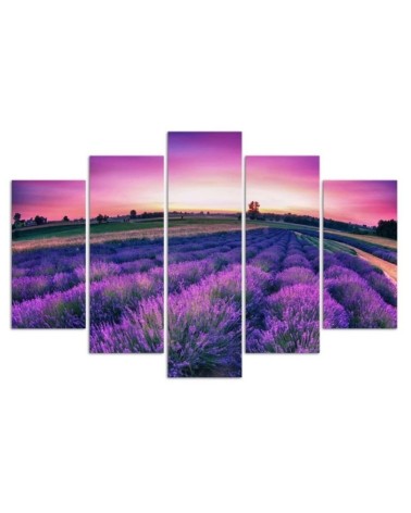 Wandbild für Wohnzimmer - Lavendel Lila Feld | Feeby
