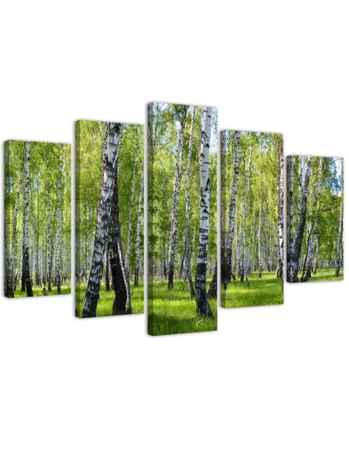 Bild auf Leinwand - Birkenwald | Feeby