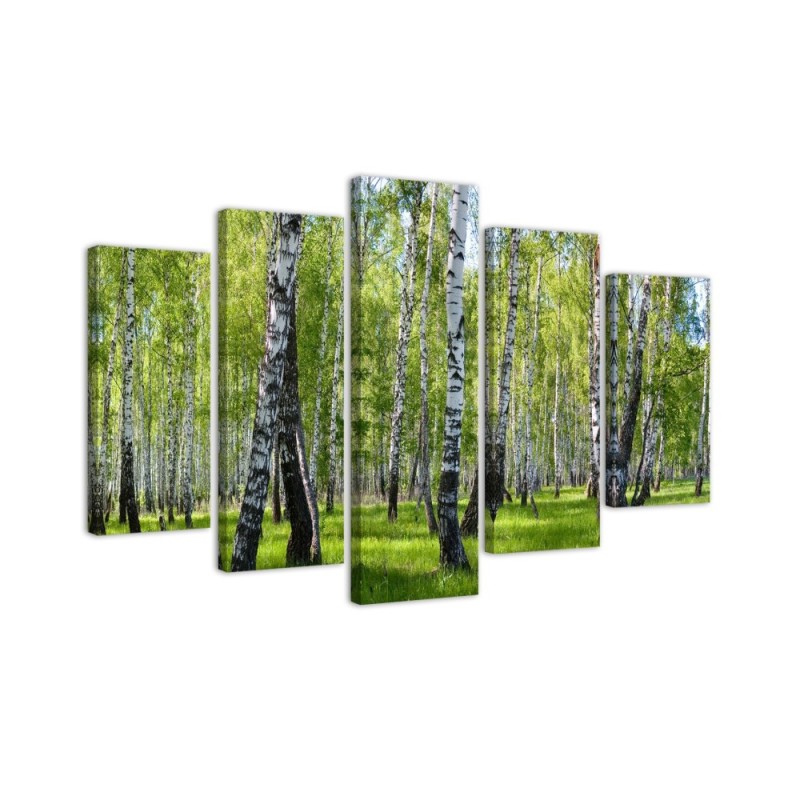 Bild auf Leinwand - Birkenwald | Feeby