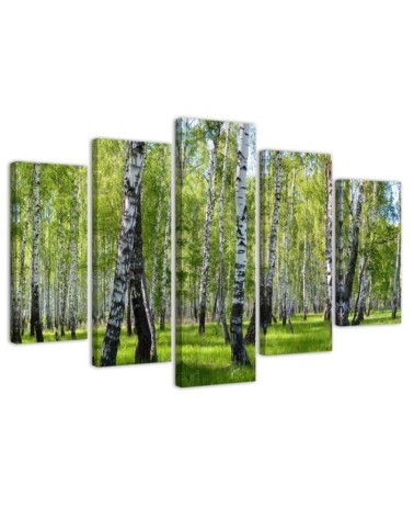 Bild auf Leinwand - Birkenwald | Feeby