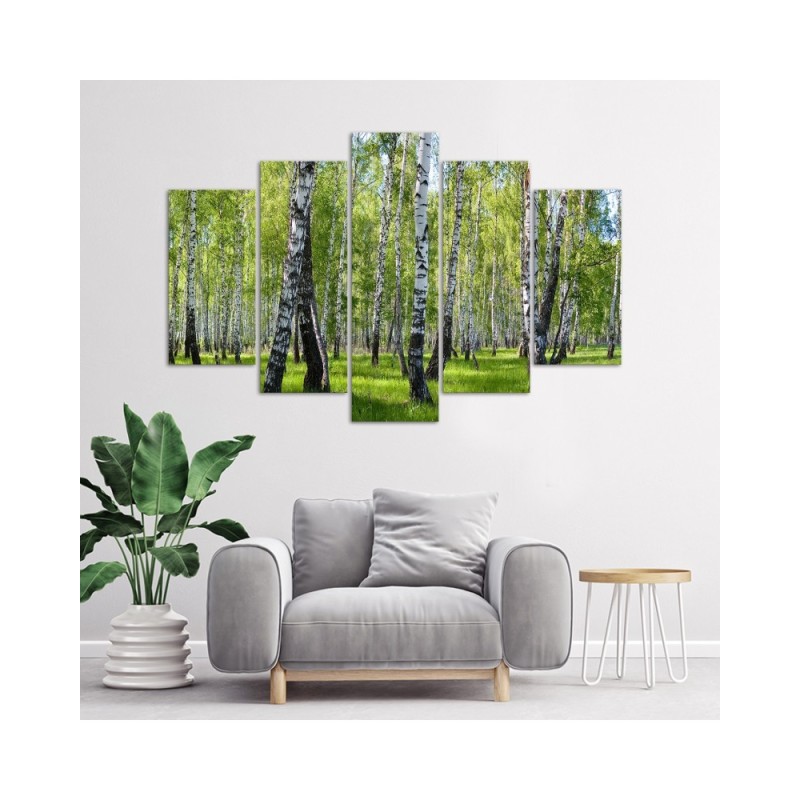 Bild auf Leinwand - Birkenwald | Feeby