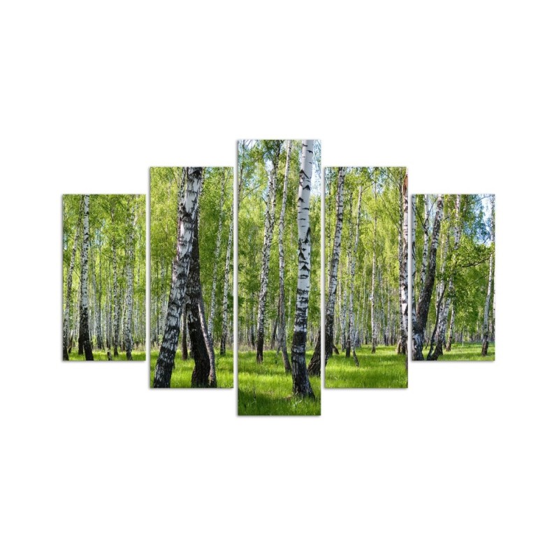 Bild auf Leinwand - Birkenwald | Feeby