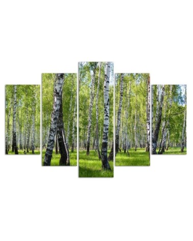 Bild auf Leinwand - Birkenwald | Feeby