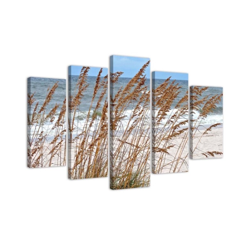 Leinwanddruck - MeeresdünenGräser | Feeby