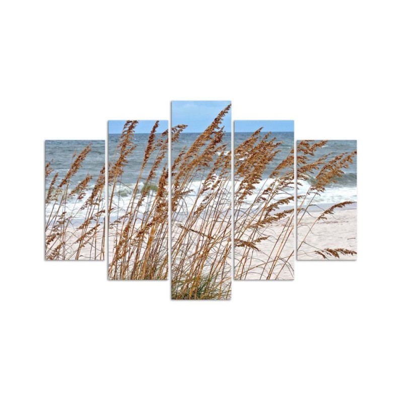 Leinwanddruck - MeeresdünenGräser | Feeby