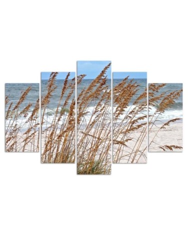 Leinwanddruck - MeeresdünenGräser | Feeby