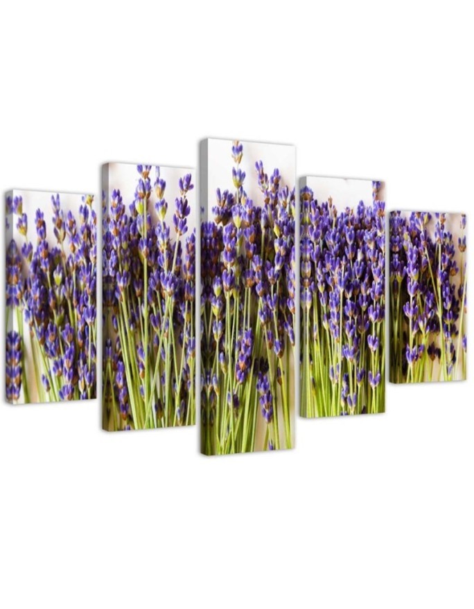 Wandbild für Wohnzimmer - Lavendelblüten Natur | Feeby