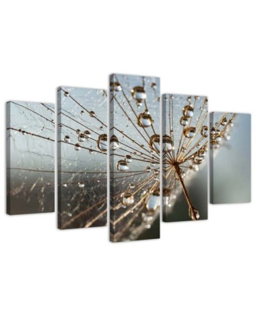 Modernes Wandbild - Gebläse Rose Grau | Feeby