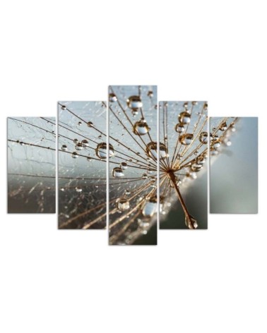 Modernes Wandbild - Gebläse Rose Grau | Feeby