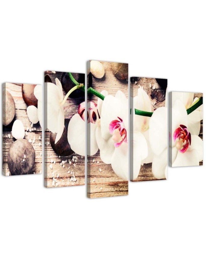 Dekoratives Leinwandbild - Orchidee Steinblume | Feeby