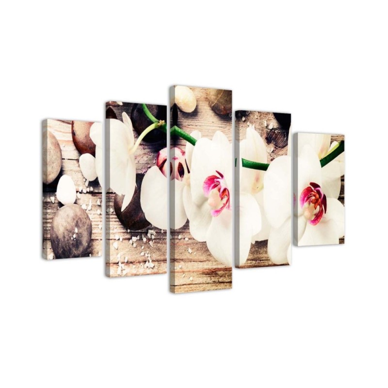 Dekoratives Leinwandbild - Orchidee Steinblume | Feeby