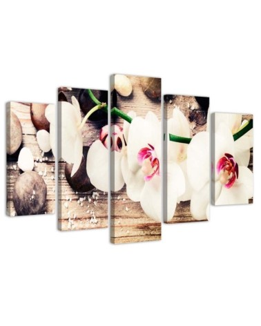 5 Piece White orchid and stones canvas paintings for living room | FEEBY