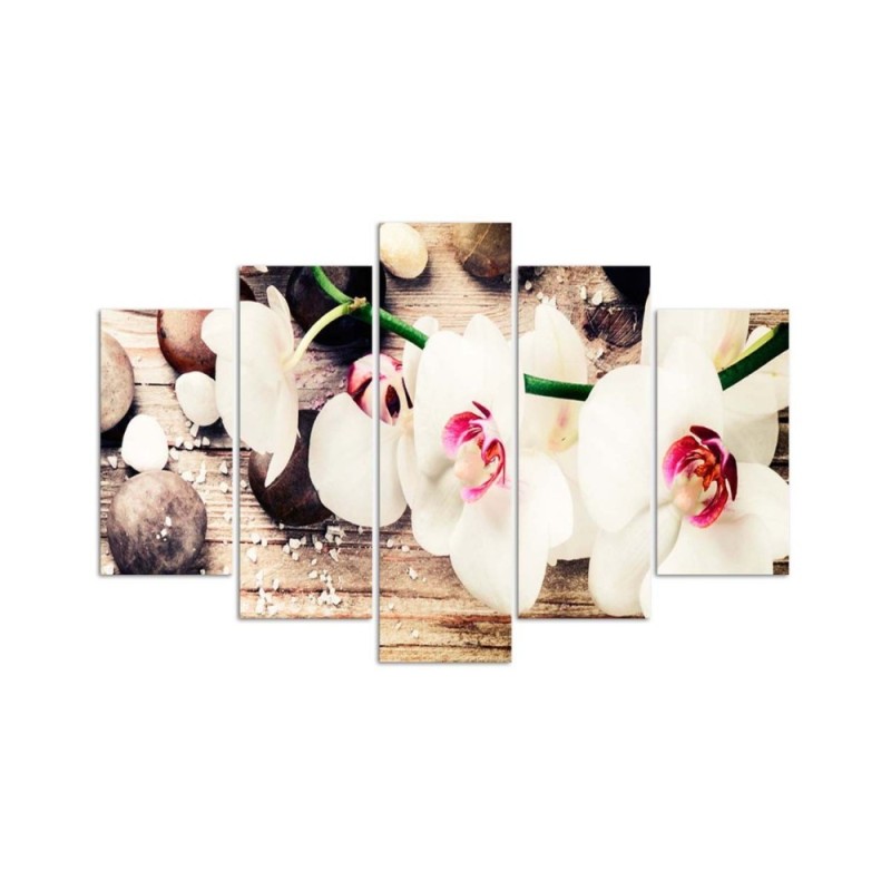 Dekoratives Leinwandbild - Orchidee Steinblume | Feeby