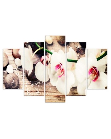 Dekoratives Leinwandbild - Orchidee Steinblume | Feeby