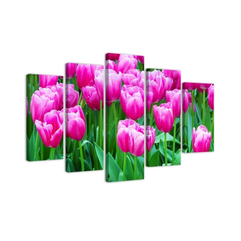 Leinwandbild - Rosa Tulpen | Feeby