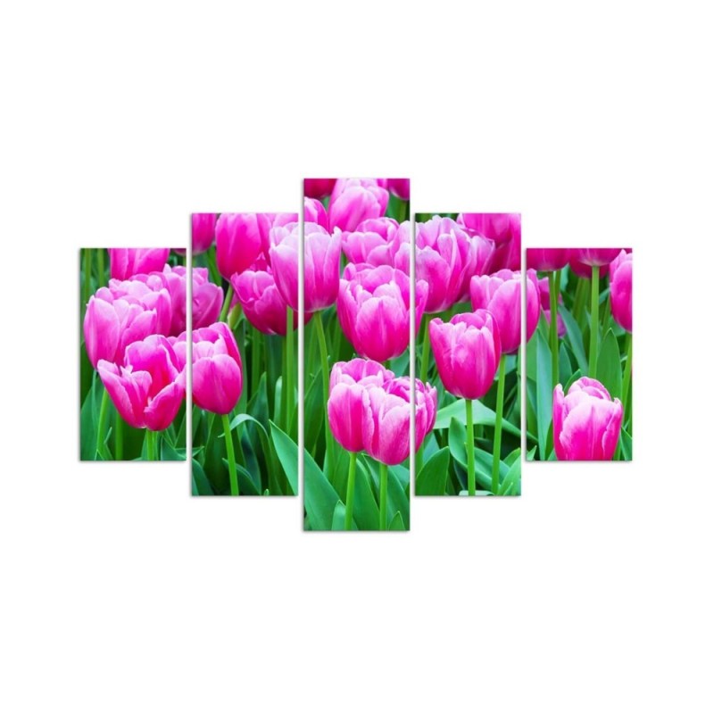 Leinwandbild - Rosa Tulpen | Feeby