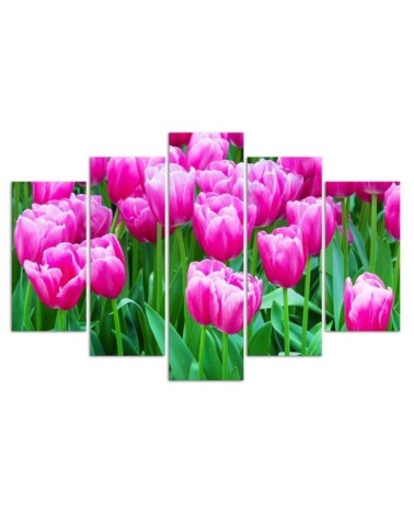 Leinwandbild - Rosa Tulpen | Feeby