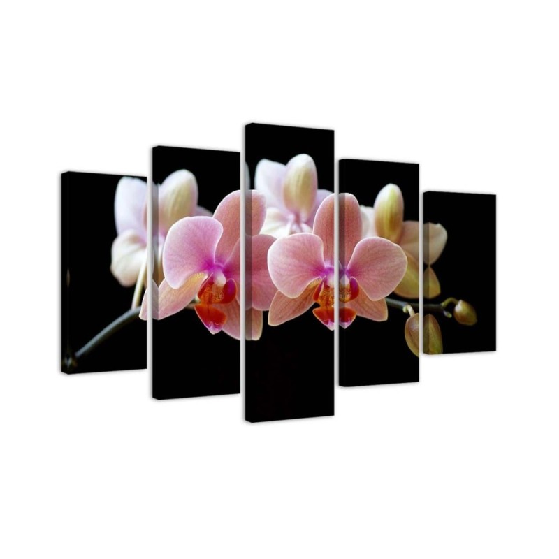 Różowa orchidea - obraz na ścianę do przedpokoju | FEEBY