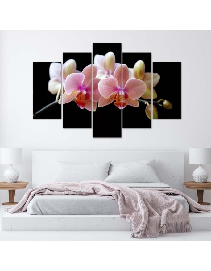 Różowa orchidea - obraz na ścianę do przedpokoju | FEEBY