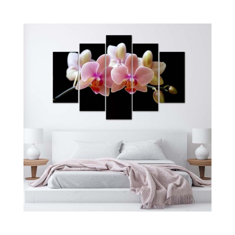 Modernes Wandbild - Rosa Orchidee | Feeby