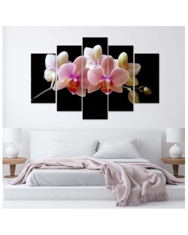 Modernes Wandbild - Rosa Orchidee | Feeby